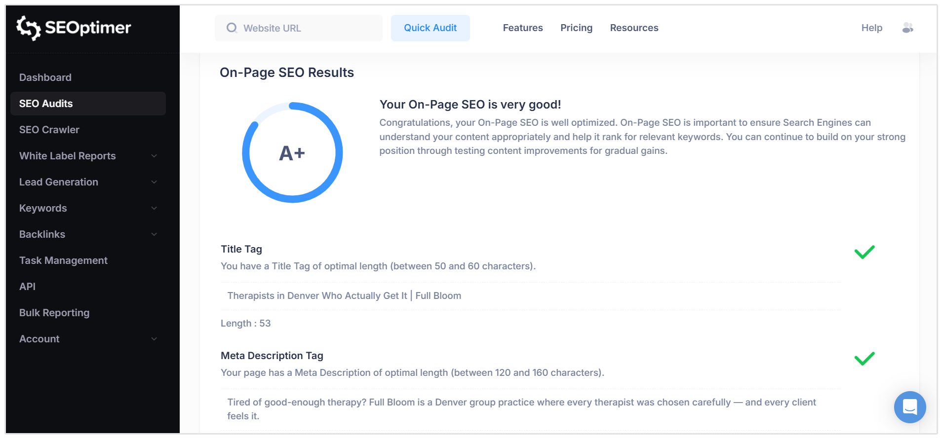 Therapist site SEO audit results